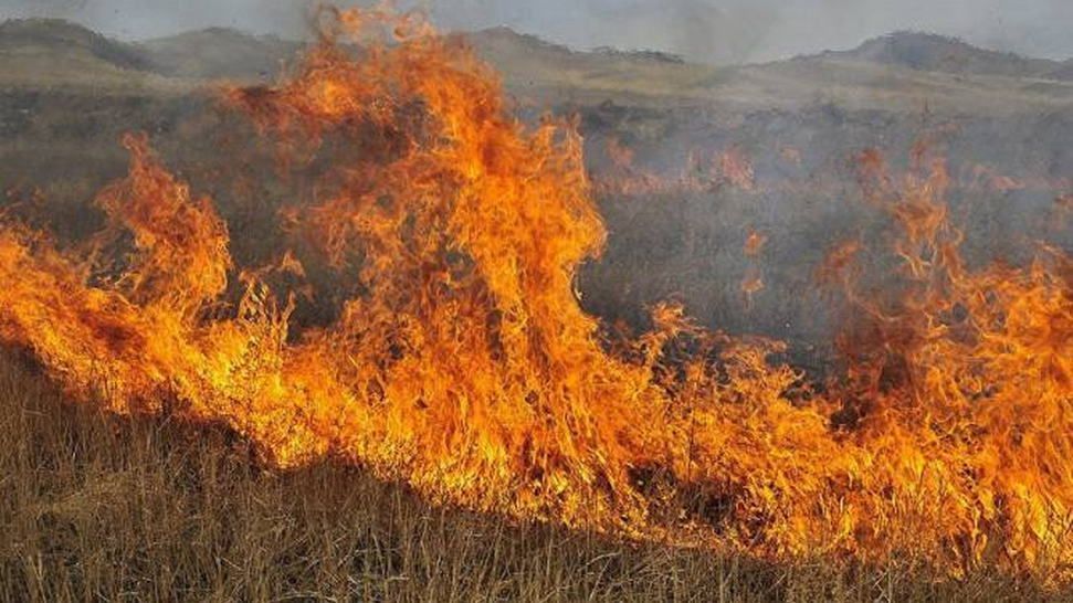 Azerbaiyanos prendieron fuego campos armenios