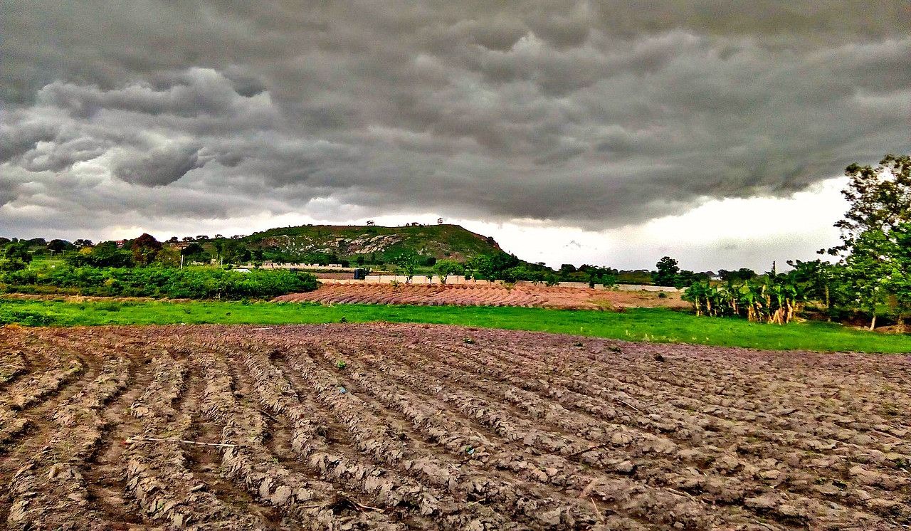  seguridad alimentaria