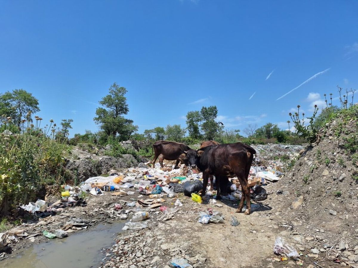 Crisis ambiental y social en Azerbaiyán tras las "inundaciones de residuos"