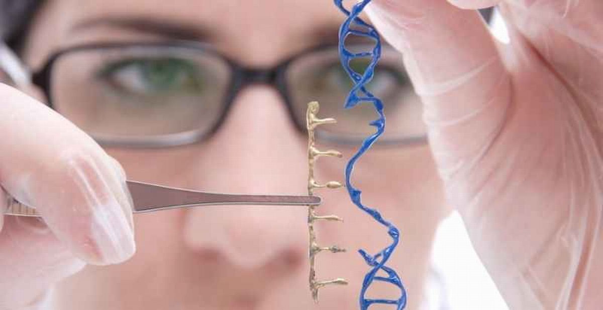 Armenia se prepara para ratificar el Convenio de Oviedo sobre derechos humanos en biomedicina