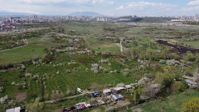 restauración Jardines de Dalma