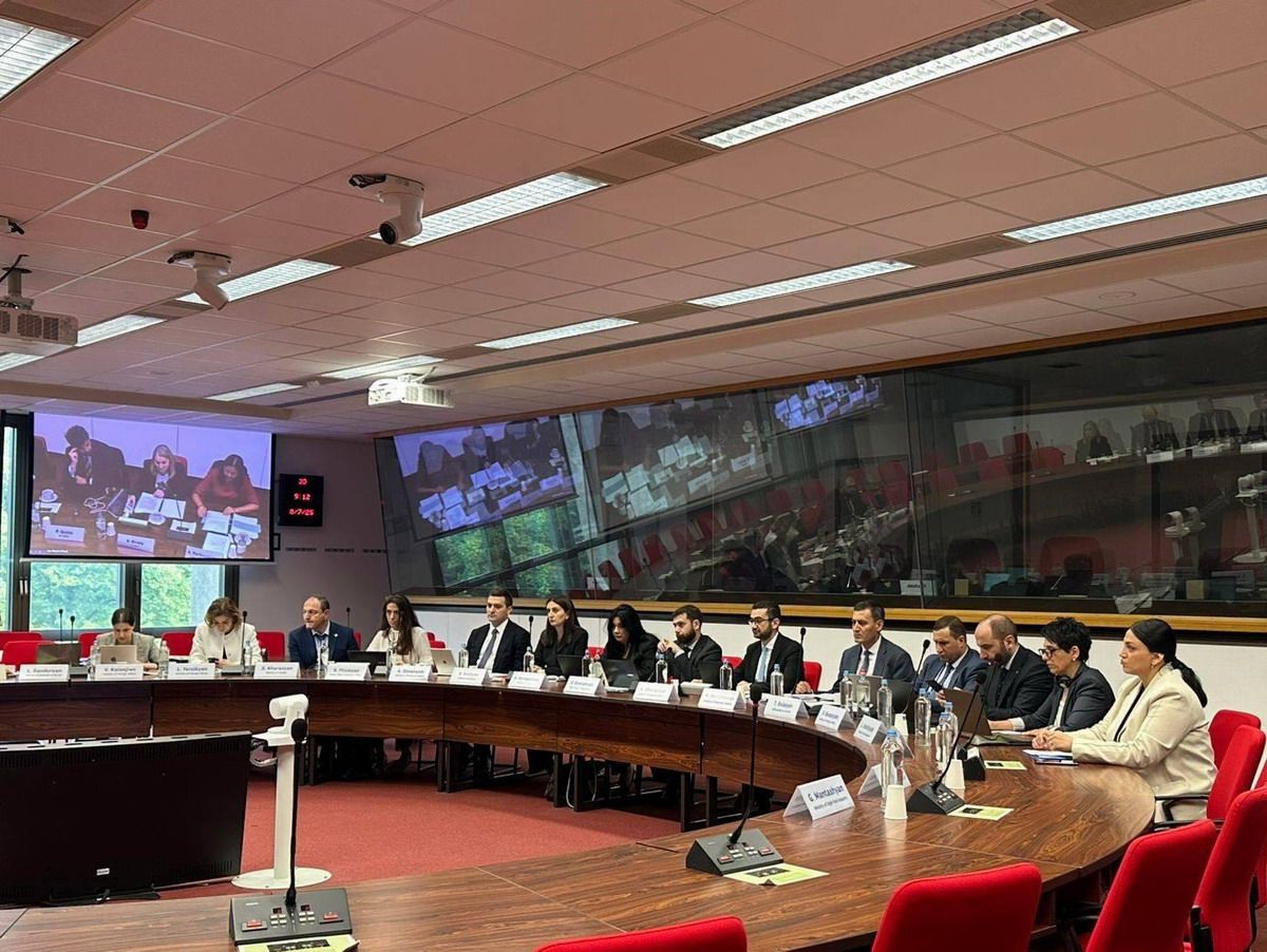 Comité Asociación Armenia-UE