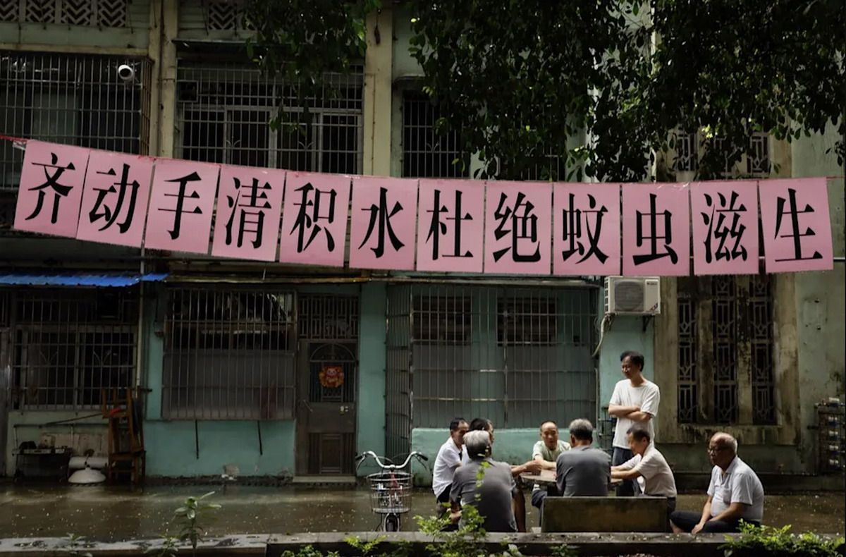 china chikungunya