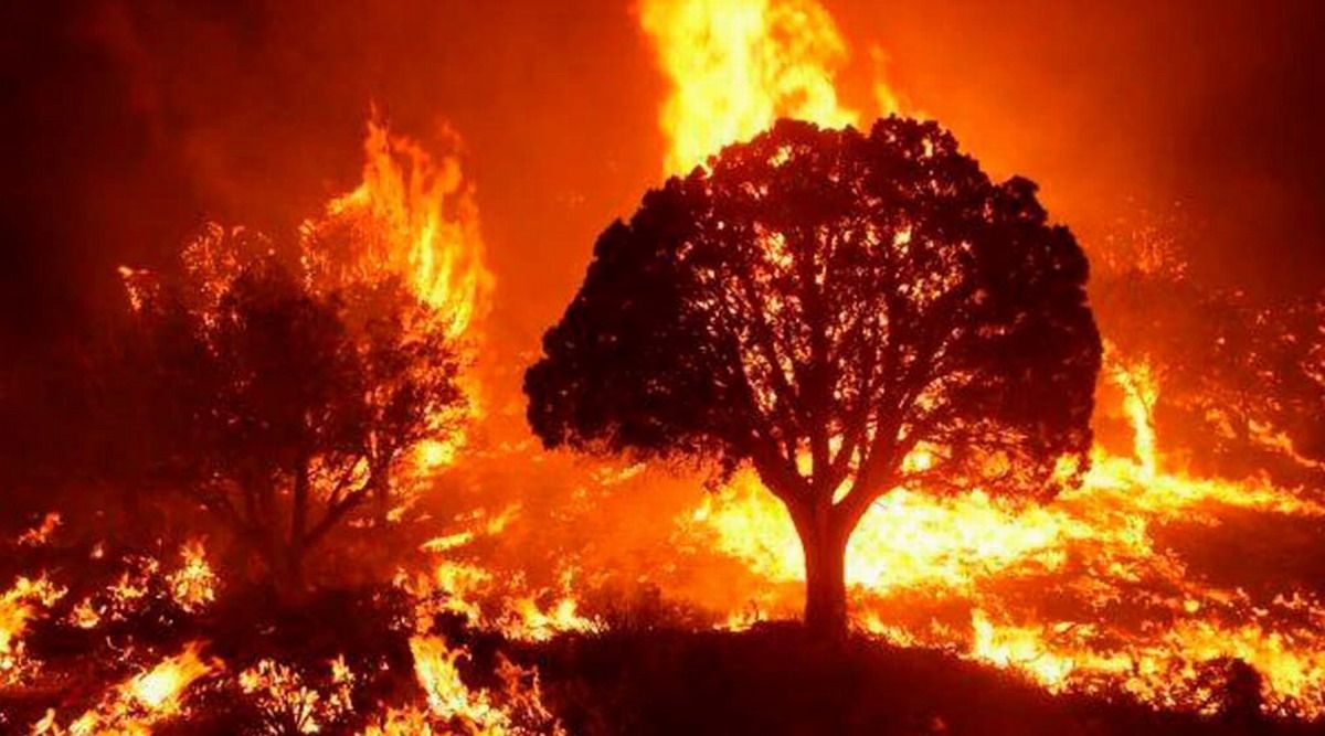 incendios forestales armenia