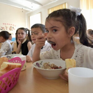 Armenia destaca como líder internacional en alimentación escolar durante la COP17 en Ereván