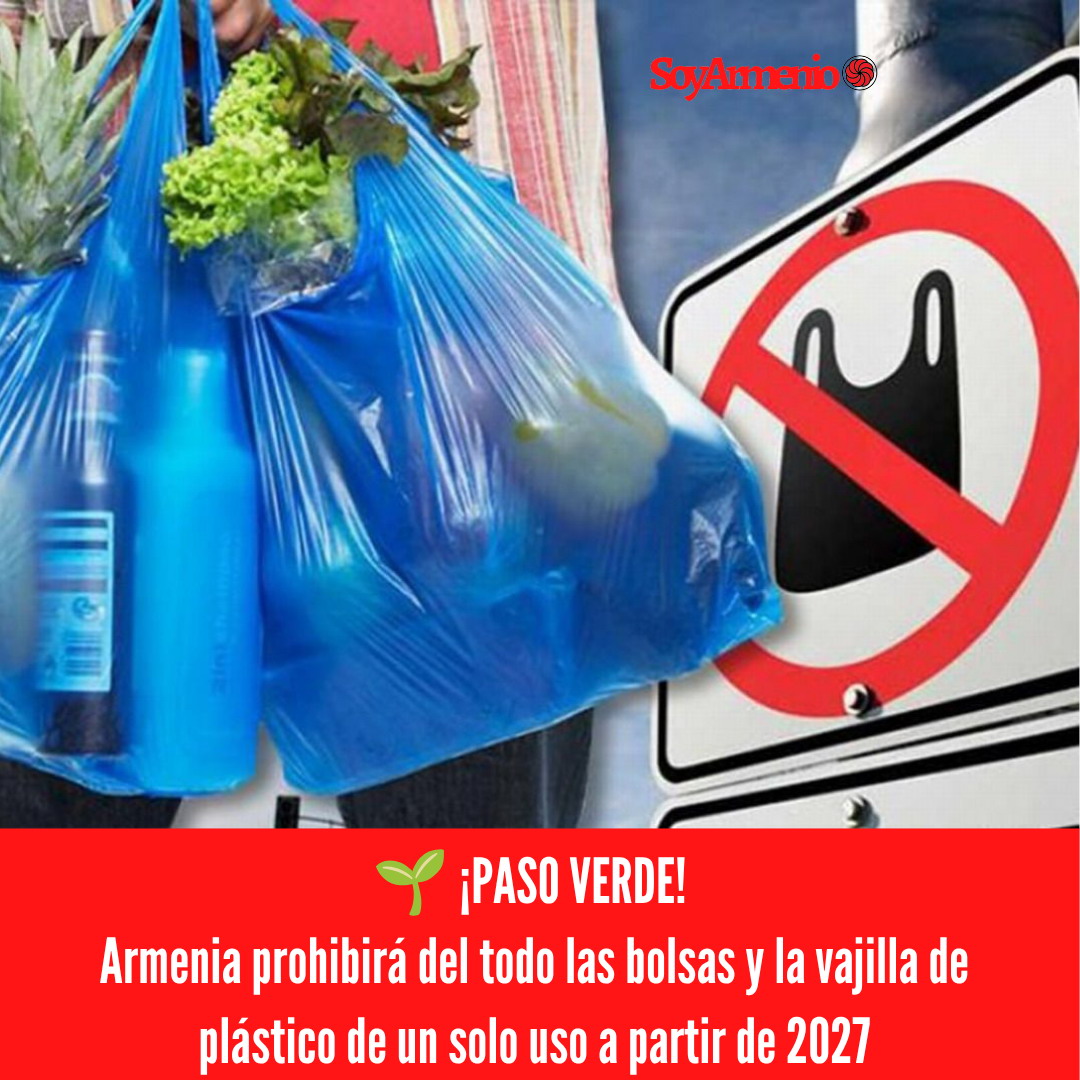 armenia bolsas vajilla plástico