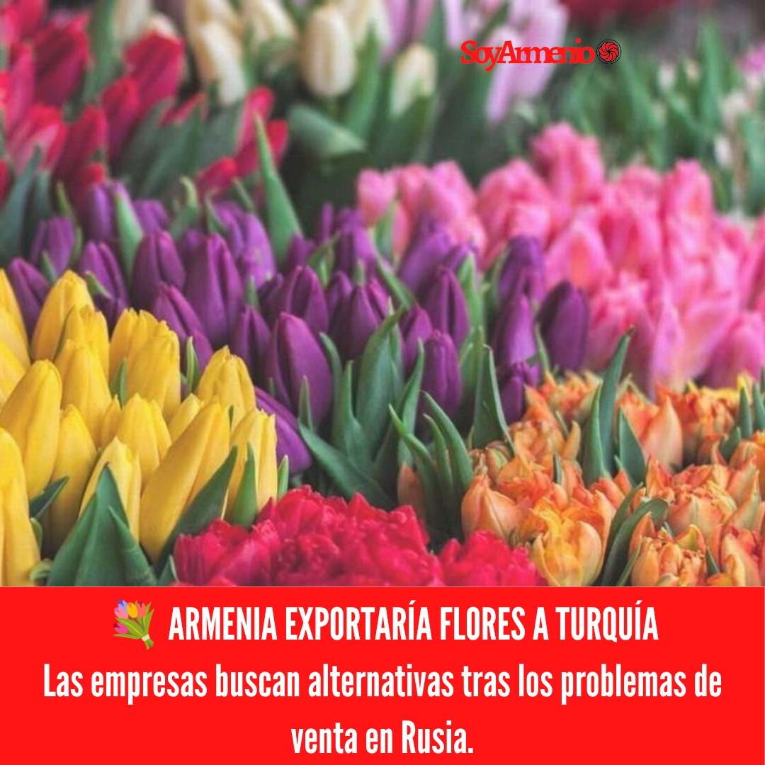 armenia flores Turquía