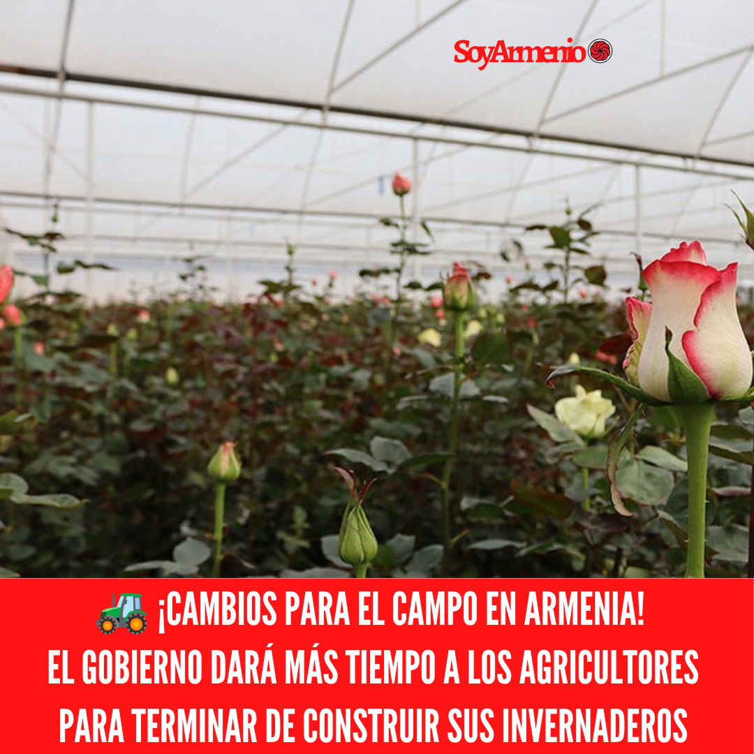 armenia invernaderos transporte