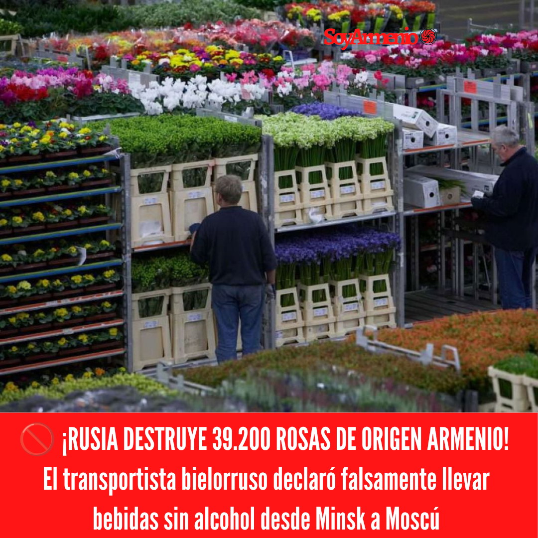 rusia flores armenia bielorrusia