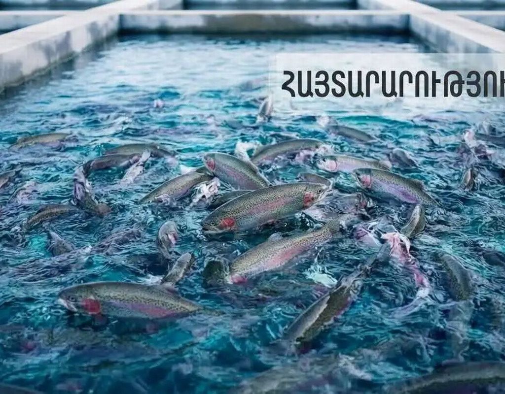 armenia exporta pescado