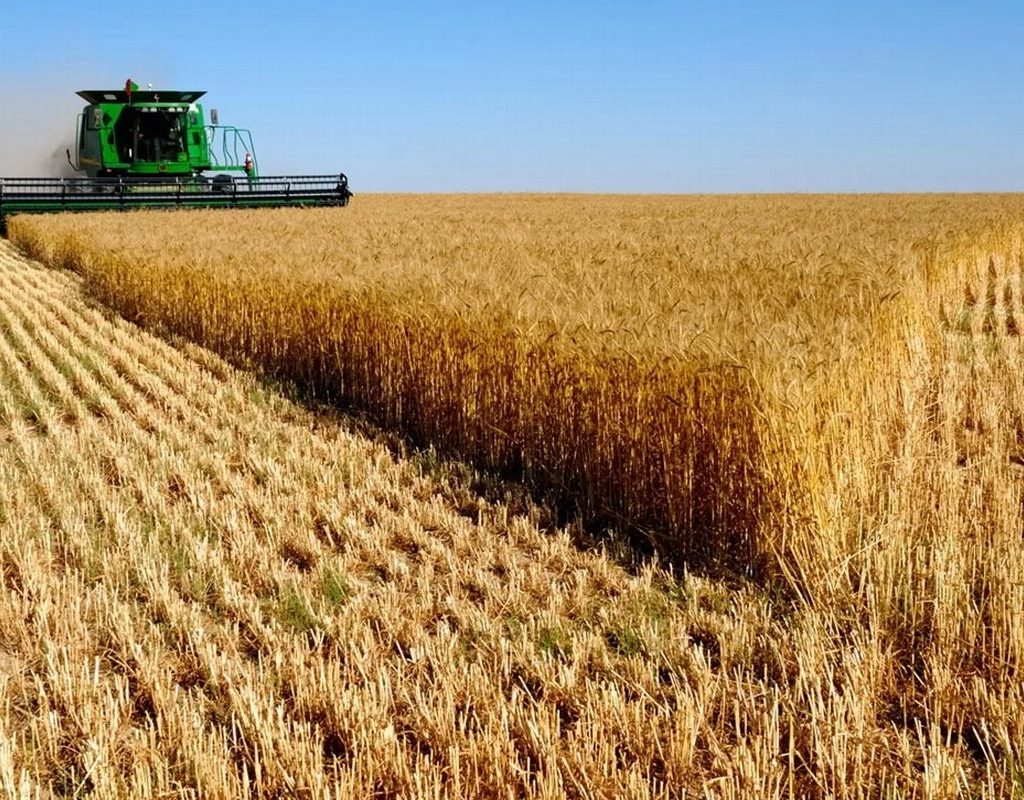 armenia importaciones trigo