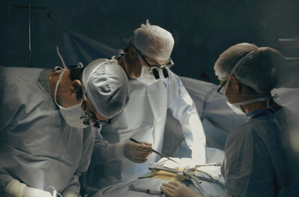 armenia licencias médicas