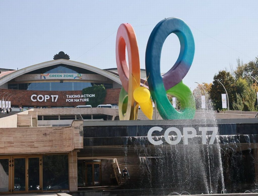 cop17 armenia energías renovables