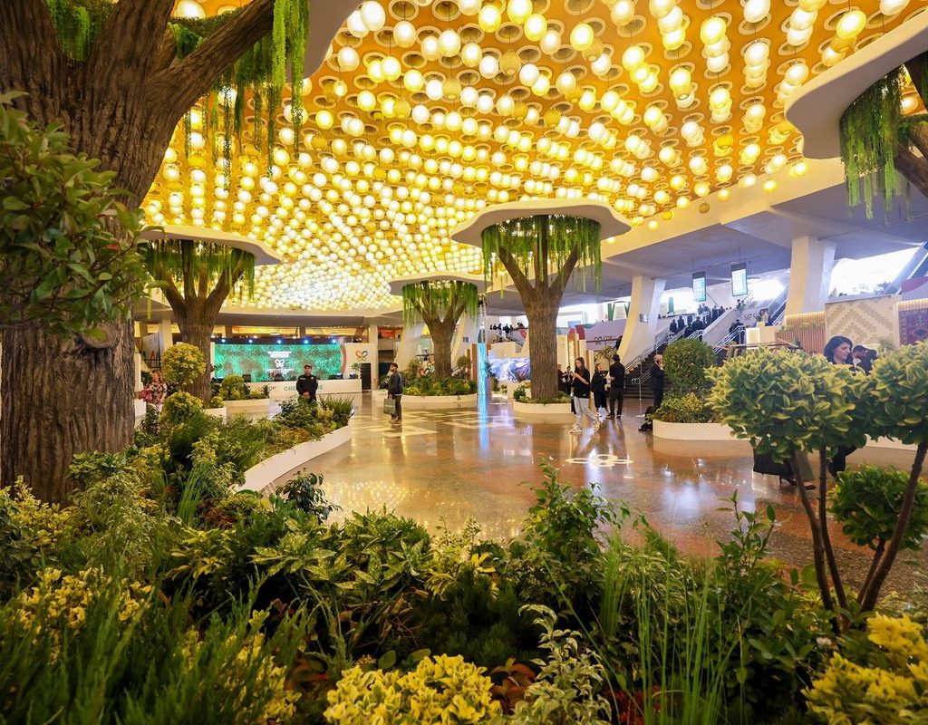 cop17 zona verde armenia