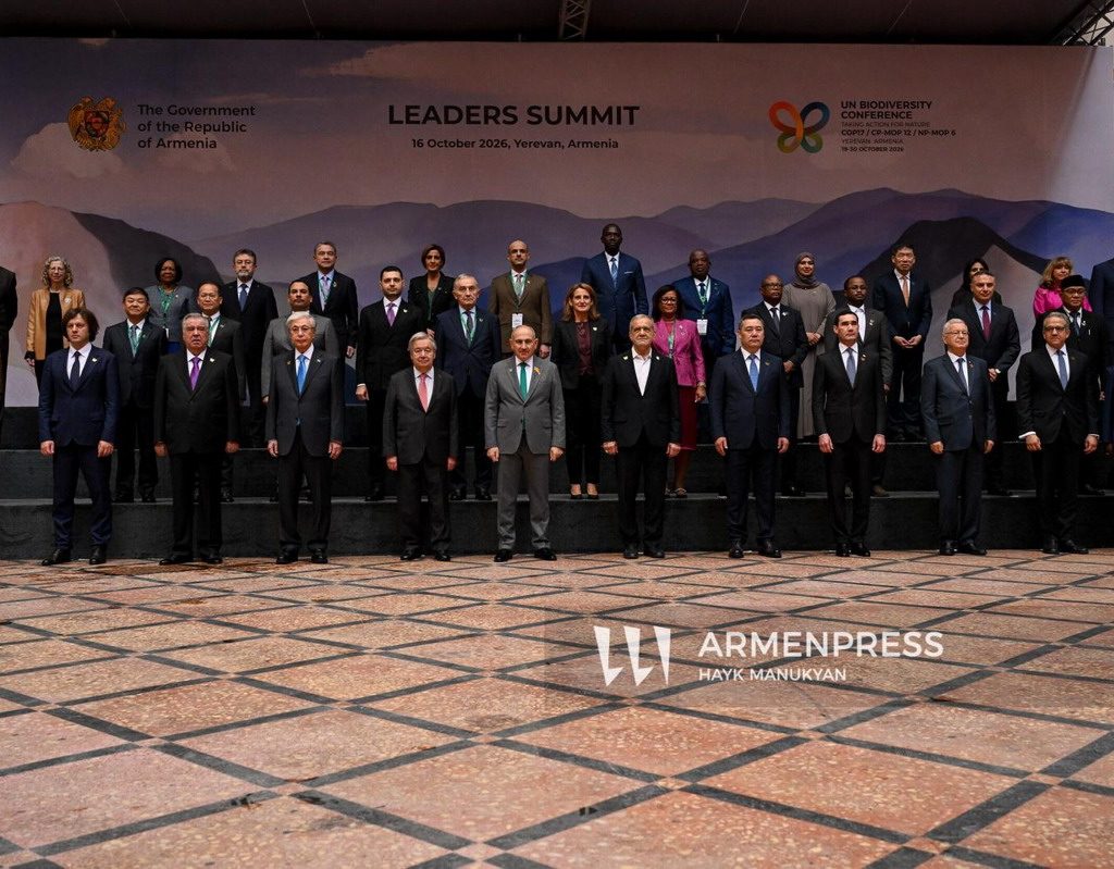 declaración ereván cop17