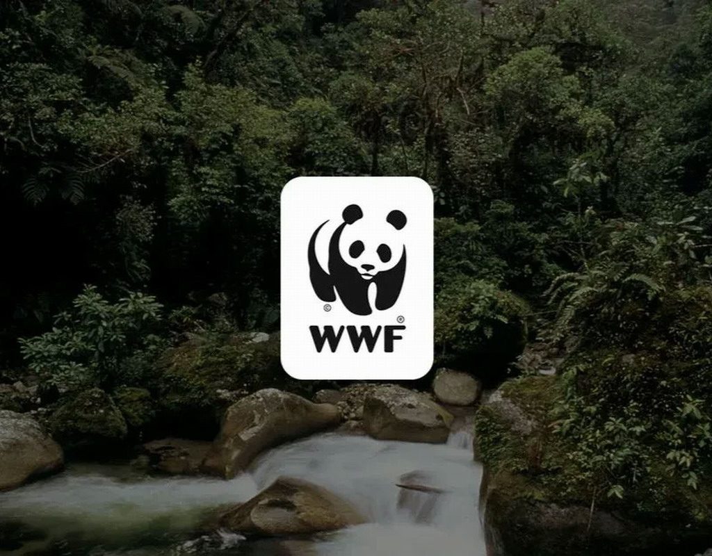 wwf cop17 ereván