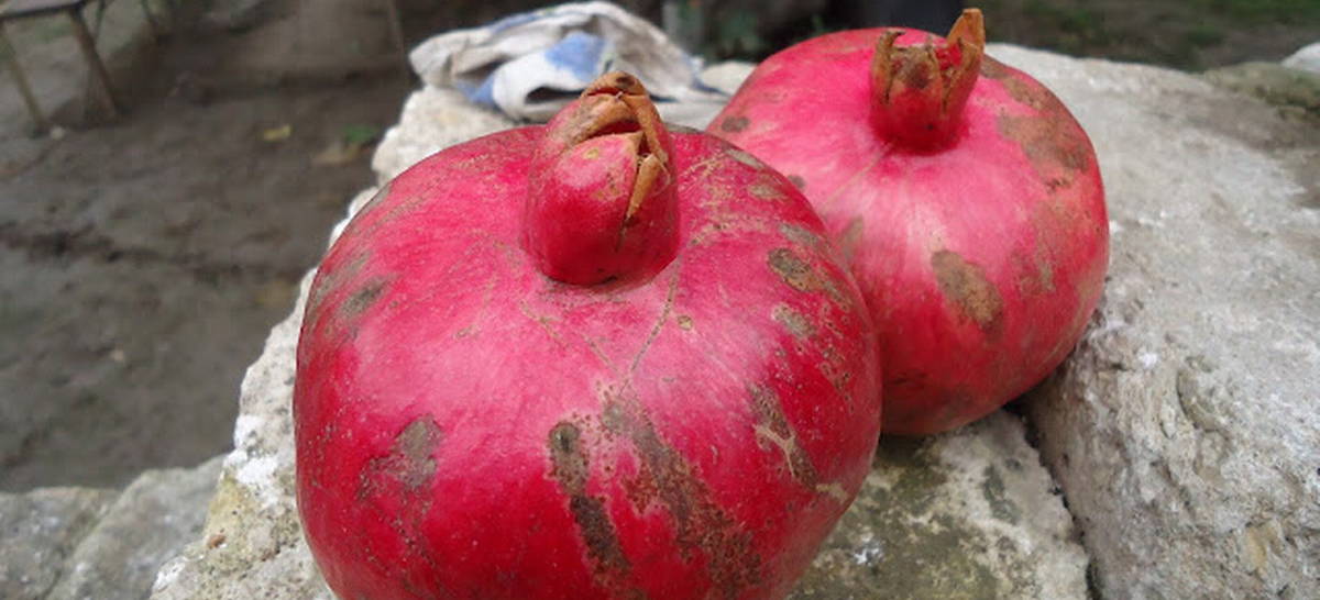 8 beneficios para la salud de la granada, el símbolo armenio de fertilidad