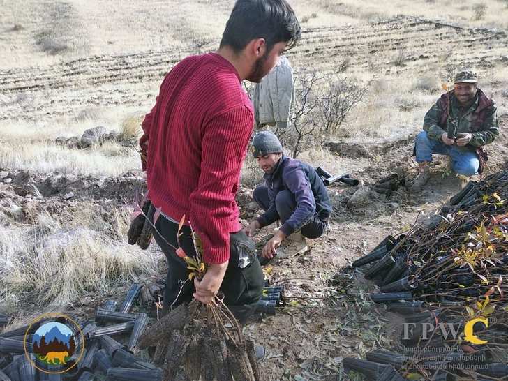 La Fundación para la Preservación de la Vida Silvestre y los Bienes Culturales (FPWC) lanzó en noviembre una plantación de árboles en memoria de los militares y reservistas que lucharon por la defensa de Armenia y Artsaj.