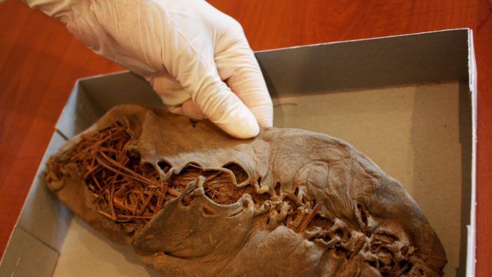 El instrumento de vestimenta más antiguo conocido del mundo es un zapato encontrado también en Areni-1, la misma cueva un año después.