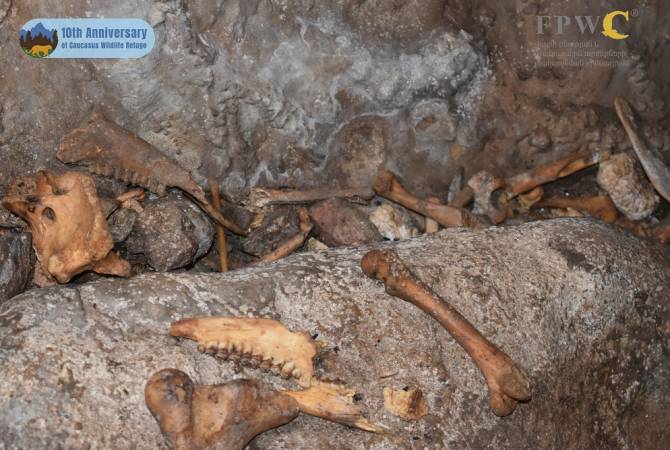 Encuentran herramientas de 30.000 años en cueva armenia