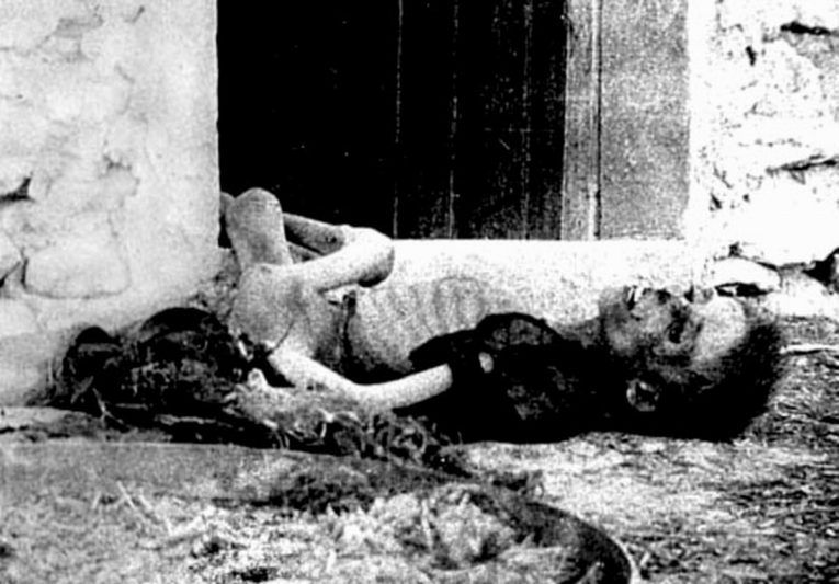 A 135 años del nacimiento de Armin Wegner el Justo