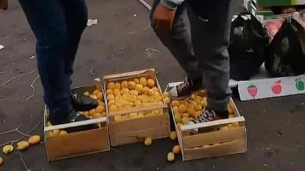 Azeríes pisotean damascos armenios (TWITTER)