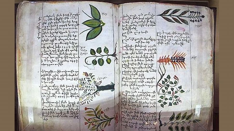 El auge de los remedios caseros de Armenia