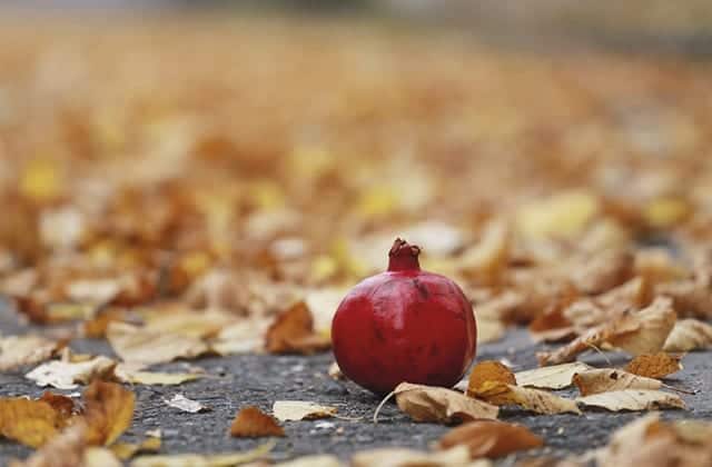 Los beneficios para la salud de la granada son difíciles de cuantificar