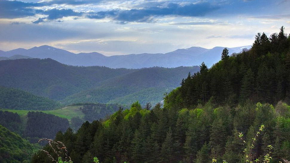US$18,7 millones para áreas forestales de Armenia