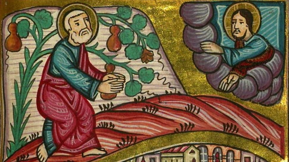 innegables beneficios que aporta la granada a la salud