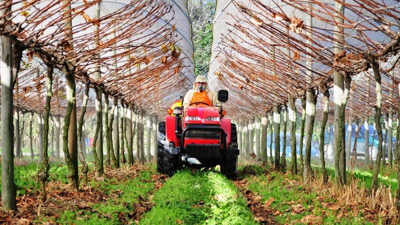 El índice de actividad económica en Armenia aumentó un 12,2% en enero-marzo