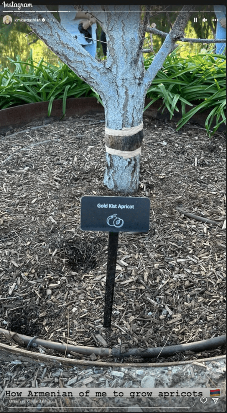 Kim Kardashian muestra los damascos y granadas de su jardín