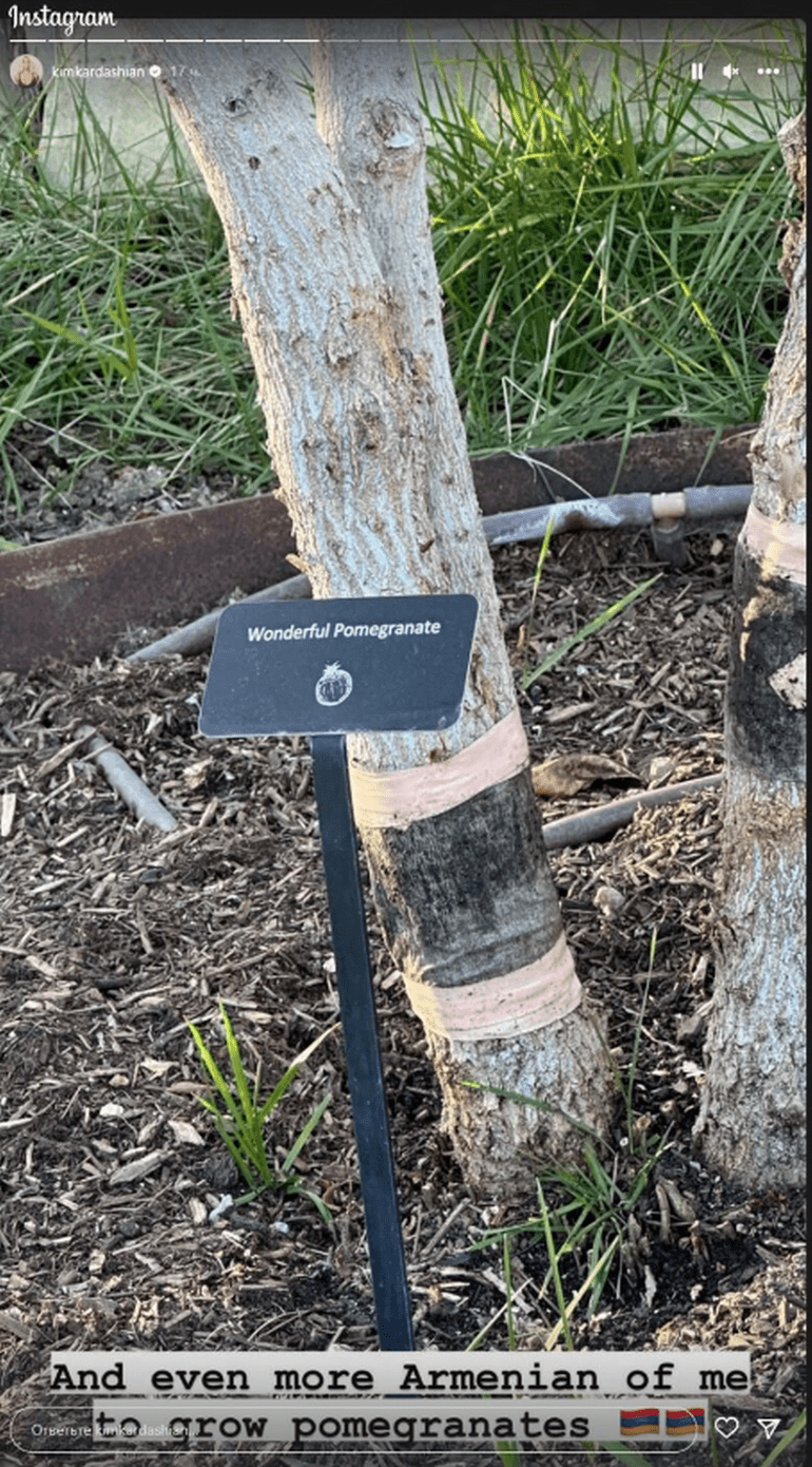 Kim Kardashian muestra los damascos y granadas de su jardín