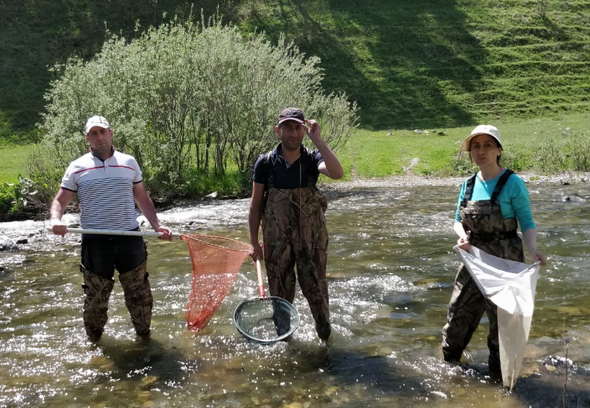 Encuentran en Armenia nuevas especies en el río Aghstev: 13 de peces, 5 de musgos y 3 de algas