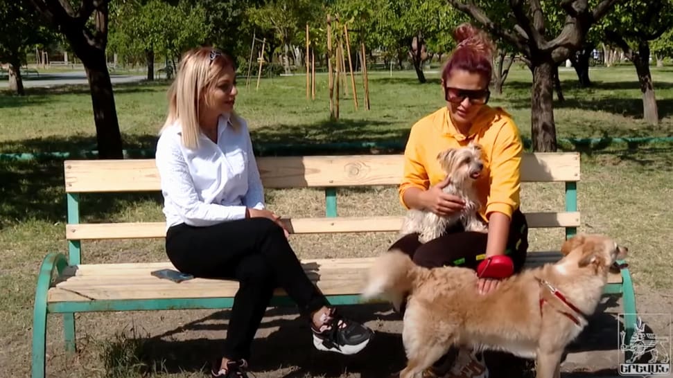 Ereván establecerá parques especiales para mascotas