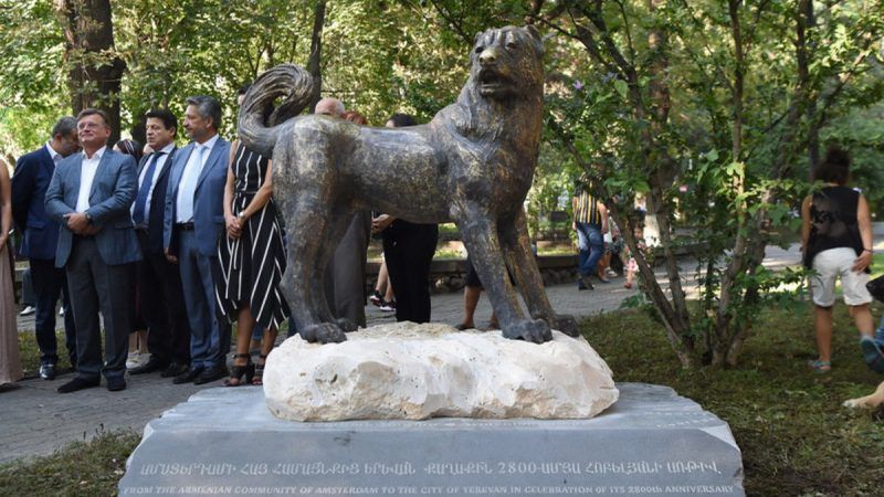 El perro nacional armenio Gampr cumple años