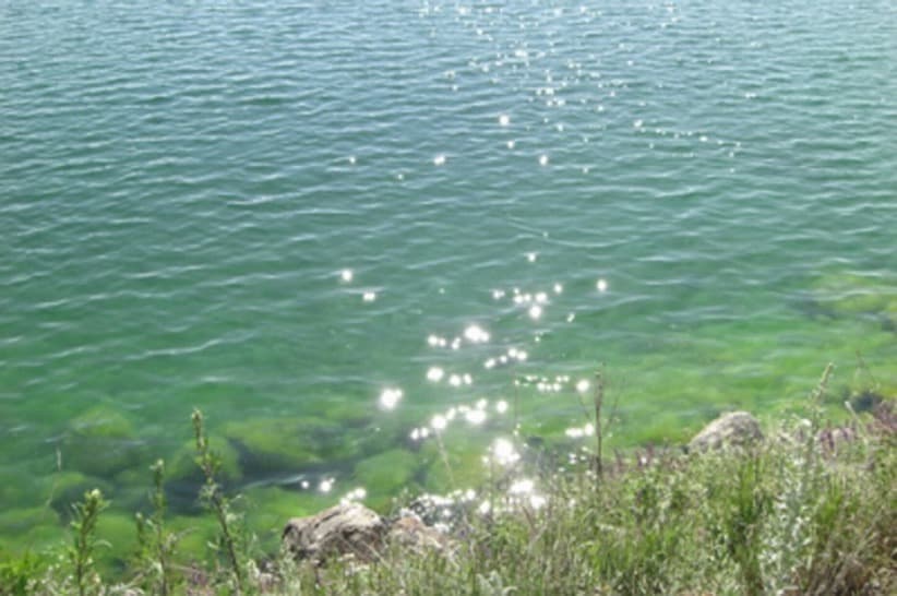 Sevan puede morir: proponen limpiar el lago